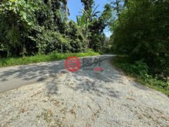 马来西亚彭亨Bentong的农业用地，4.6 Acres of Land in Janda Baik Bentong Pahang，编号78044451