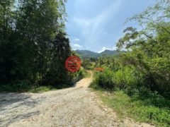 马来西亚彭亨Bentong的农业用地，4.6 Acres of Land in Janda Baik Bentong Pahang，编号78044451