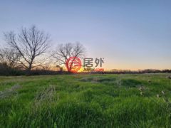 美国德克萨斯州洛恩奥克的住宅用地，None Lot 9 County Road 3401，编号77606324