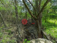 美国德克萨斯州洛恩奥克的住宅用地，None Lot 9 County Road 3401，编号77606324