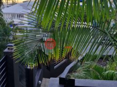 澳大利亚昆士兰Townsville City的独栋别墅，273 Walker Street，编号77726883