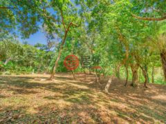洪都拉斯海湾群岛Roatán的住宅用地，Lot 35 in the Prestigious Lawson Rock，编号76794716