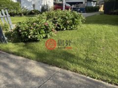 美国印地安那州格林菲尔德的独栋别墅，303 Walnut Street，编号77822210