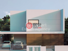 塞浦路斯NicosiaLatsia的独栋别墅，编号78476300