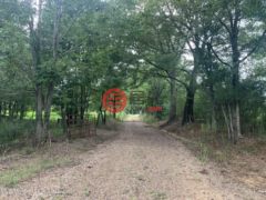 美国密西西比州Conehatta的住宅用地，None Thrash Road，编号77777445