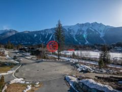 加拿大不列颠哥伦比亚省Pemberton的独栋别墅，编号68145959
