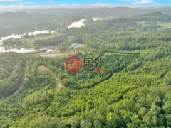 美国田纳西州金斯顿的商业转让，None 1060 Paint Rock Ferry Road，编号78156740