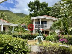 英属维尔京群岛的独栋别墅，Sandcastle Villa，编号77731479