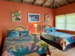 英属维尔京群岛的独栋别墅，Sandcastle Villa，编号77731479