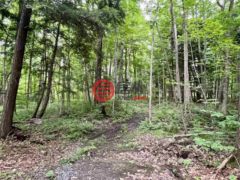 美国纽约州休弗尔顿的住宅用地，None Mud Pond Road，编号78331366