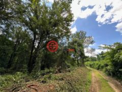 美国密西西比州列克星敦的住宅用地，None 1 Rockport Rd，编号78362220