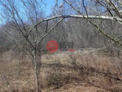 美国纽约州斯万莱克的住宅用地，None 927-943 Briscoe Road，编号77678491