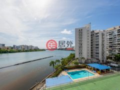 波多黎各Puerto RicoSan Juan的公寓，20 Delcasse St. Apt. 401，编号78456956
