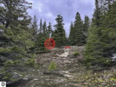 美国密歇根州Beaver Island的住宅用地，None TBD Mrs Reddings Trail，编号76637276