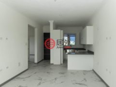 牙买加KingstonKingston的公寓，11 2 Hibiscus Drive，编号77809287