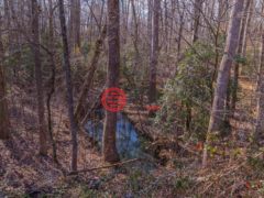 美国南卡罗来纳州艾诺丽的住宅用地，225 Frontier Road，编号76633184