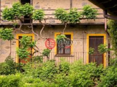 意大利NovaraOrta San Giulio的独栋别墅，Regione Garullo，编号78037205