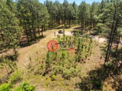 美国密西西比州Purvis的独栋别墅，None 703 AC +/- Purvis to Baxterville Rd.，编号77697984
