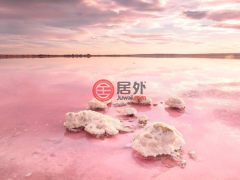 西班牙瓦伦西亚托雷维耶哈的独栋别墅，编号77647543