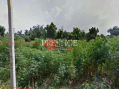 泰国春武里府挽腊茫郡的住宅用地，123 Nong Pla Lai，编号77347840