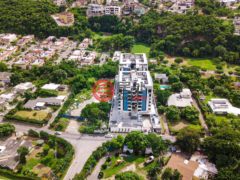 牙买加KingstonKingston的公寓，39 Wellington Drive，编号77808911