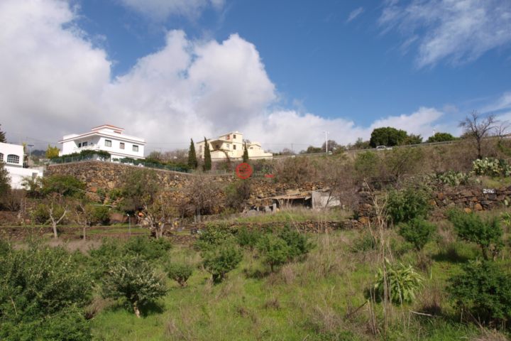 西班牙埃尔帕索总占地22385平方米的农场