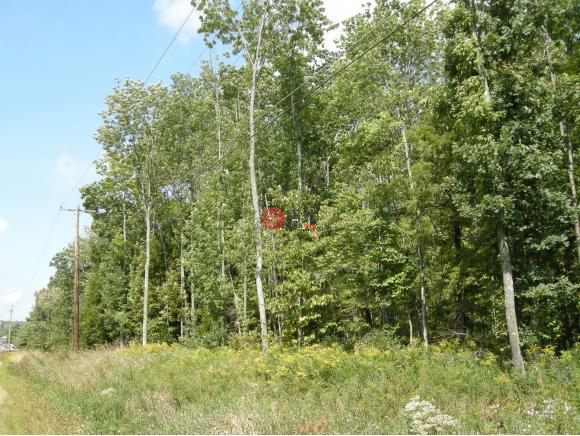 美国纽约州约翰逊城的房产